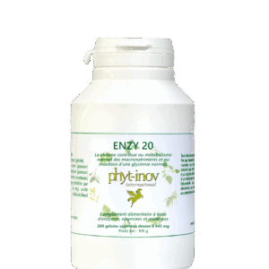 Enzy20 200 gélules